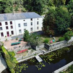 Moulin Pont Vieux Chambres d'hôtes