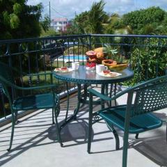 Charming apartment in Grande Gaube with shared pool