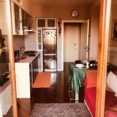 One bedroom appartement with city view enclosed garden and wifi at Monza