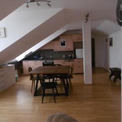 Appartements Donaublick