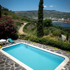 3 bedrooms villa with city view private pool and enclosed garden at Lamego 3 km away from the beach