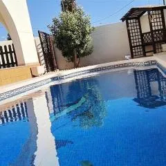 Flamingo Vila Alicante