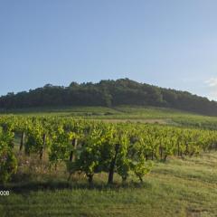 La maison du vigneron