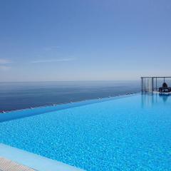 Viangella - Dramatic sea view! Top floor 2km to Monaco