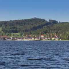 Lipno Lake Apartment