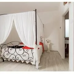 B&B Rabbit