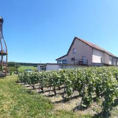 gîte coeur de champagne