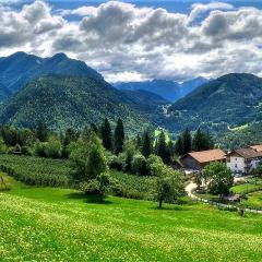 Koflhof Urlaub auf dem Bauernhof