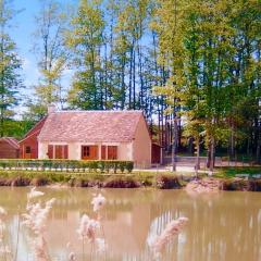 Maison de 3 chambres avec vue sur le lac piscine partagee et jardin clos a Villentrois Faverolles en Berry