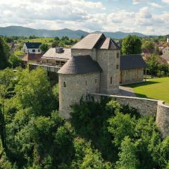 Vinica Castle