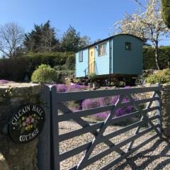Shepherds Hut in the Hills - Nr. Mold