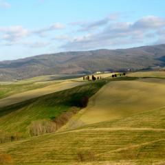 Relax nella meravigliosa campagna Toscana ad un passo dal mare