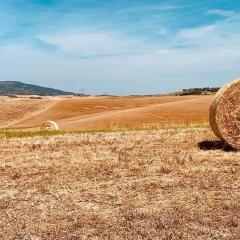 Vacanze sulle colline Toscane ad un passo dal mare