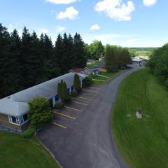 The Lionstone Inn Motel and Cottages