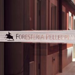 Foresteria Pellegrino