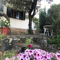 Cabaña en la naturaleza