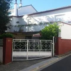 Apartment Dario