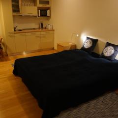 Harrachov Apartmán 206