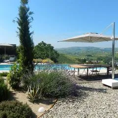 B&B Bionzo16