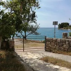 Apartmani nana