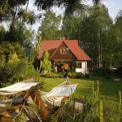 Siedlisko Gruszki Puszcza Białowieska