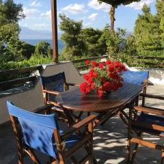 ILIOCHARI sea view apartments Oropos - Kalamos