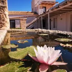 Casa Vacanze Senia Del Rais