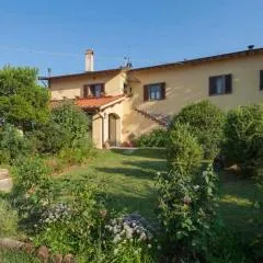 Villa Porcigliano Olive Grove