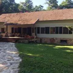 Erdő szélén házikó