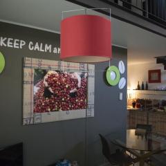 Loft Bocconi, IULM, Fondazione Prada, IEO