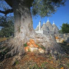 Trulli Foggia dell'Albero