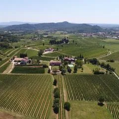 Tenuta Perusini