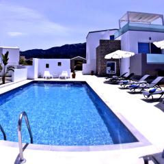 Xenos Villa 4 - Luxury Villa With Private Swimming Pool Near The Sea