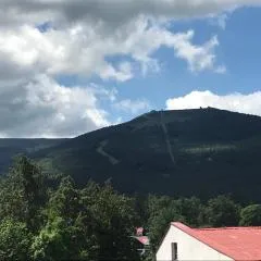 Mega widok
