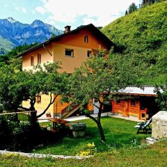 Apartment and Garden house among the mountains