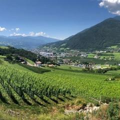 BUEHLERHOF Agriturismo, Obst-&Weingut, Urlaub mit Hund, Pferde, Bauernhof, Brixen