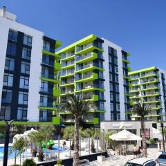 Alexandra Studio Alezzi