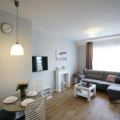 Apartament na Wspólnej ( centrum, garaż )