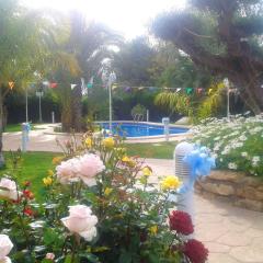 2 bedrooms appartement with shared pool furnished terrace and wifi at Elche 6 km away from the beach