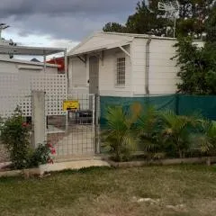 "Tom" Chez Tom et Dilou