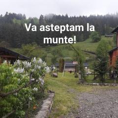 CAZARE Borsec
