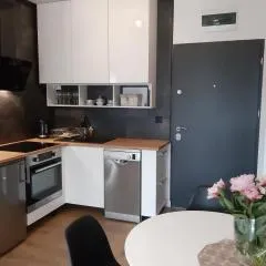 Apartament TEN z miejscem parkingowym