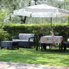 Relax in the Olive Grove