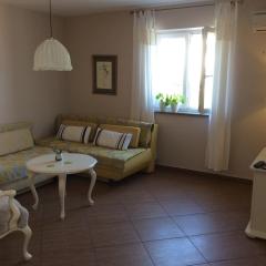 Apartman Sinikovic
