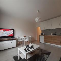 Apartamenty Lewa