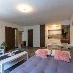 Apartmán U Křížku