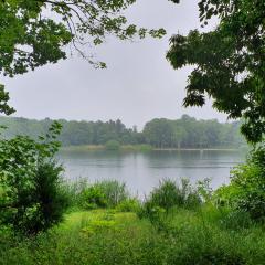 Wohnung am See