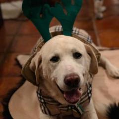 Casa Rural La Picota