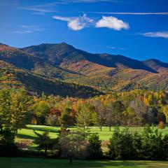 Mt Mitchell Cabin Rentals