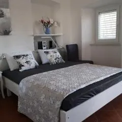 Viola rooms